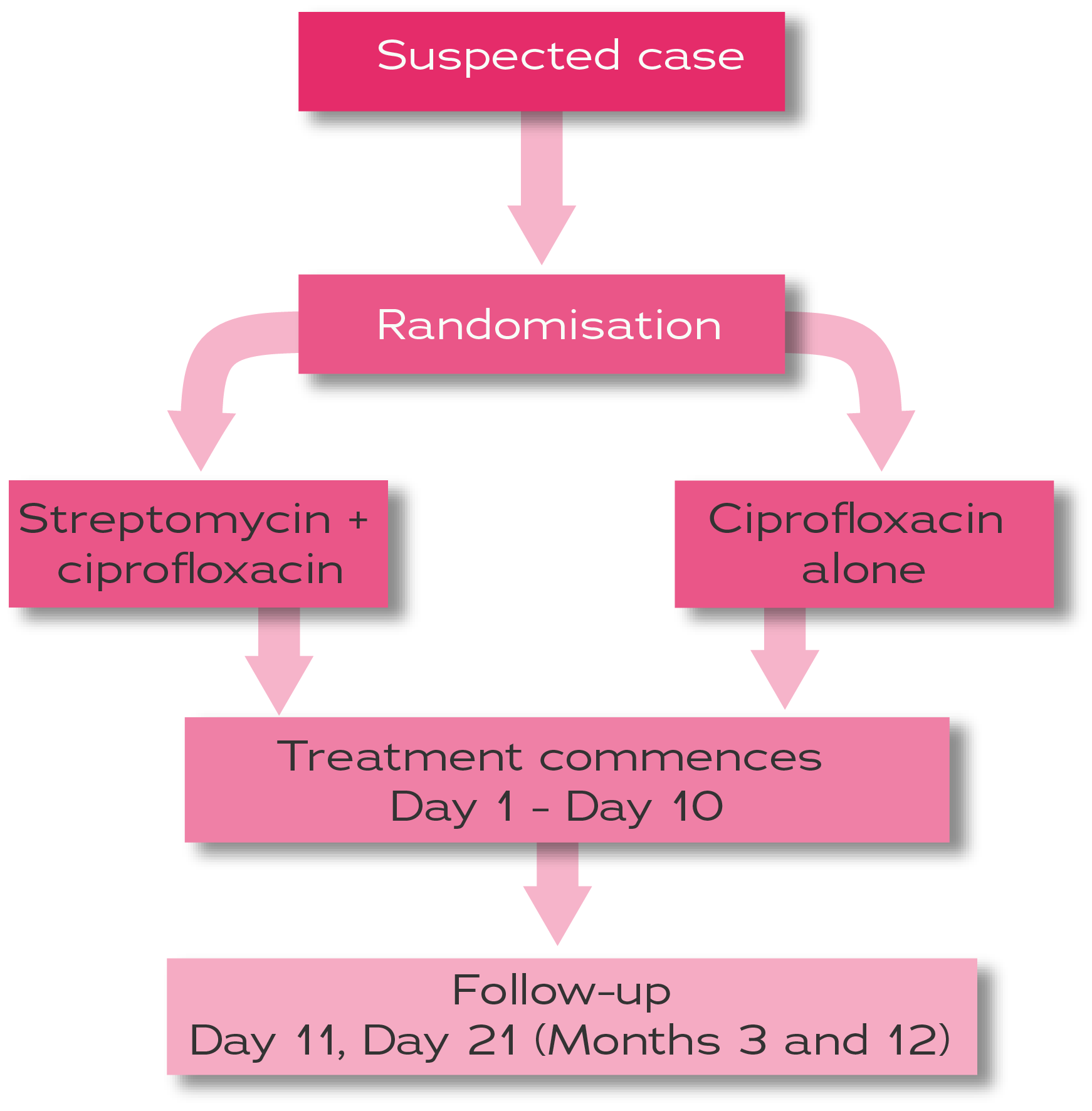 Once a suspected case of plague has been identified, assessed for eligibility and included in the trial, they will be randomised to one of two possible treatments: streptomycin + ciprofloxacin OR ciprofloxacin alone. Treatment in both arms will last for 10 consecutive days. Included patients will then be followed up on days 11 and 21. For those who receive a positive result for plague at day 21, they will attend another follow-up visit at month 3 and for those still testing positive for plague at month 3, they will attend a final visit at month 12.