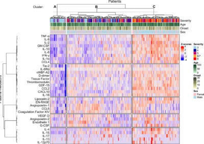 Key inflammatory markers identified in COVID-19