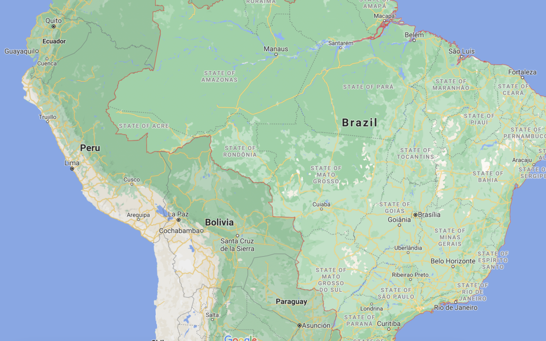 ISARIC member compares COVID-19 hospital admissions during first and second waves in Brazil
